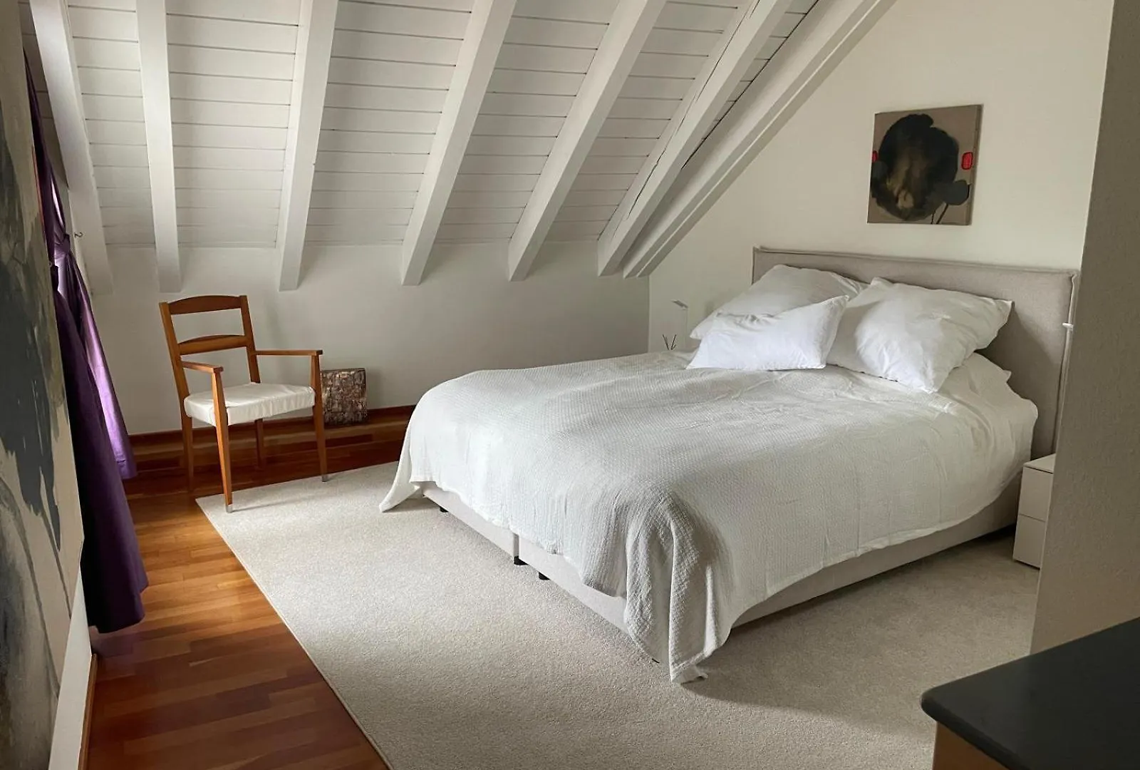 Spacious And Stylish Apartment In Zurich
